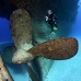 wreck_kittiwake_gc_v_0091_cay3515.jpg